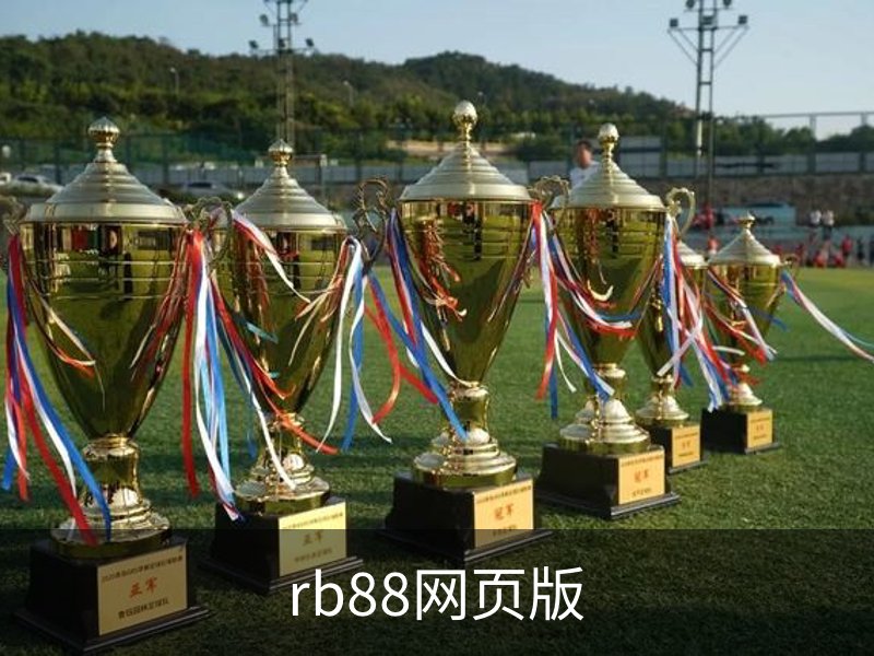 rb88网页版概况